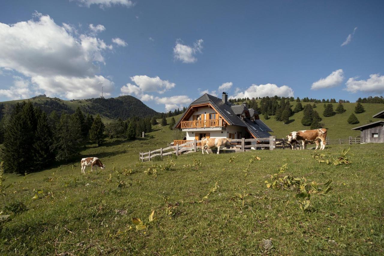 Apartment Jezerca - Krvavec Церкле на Горенскем Екстериор снимка